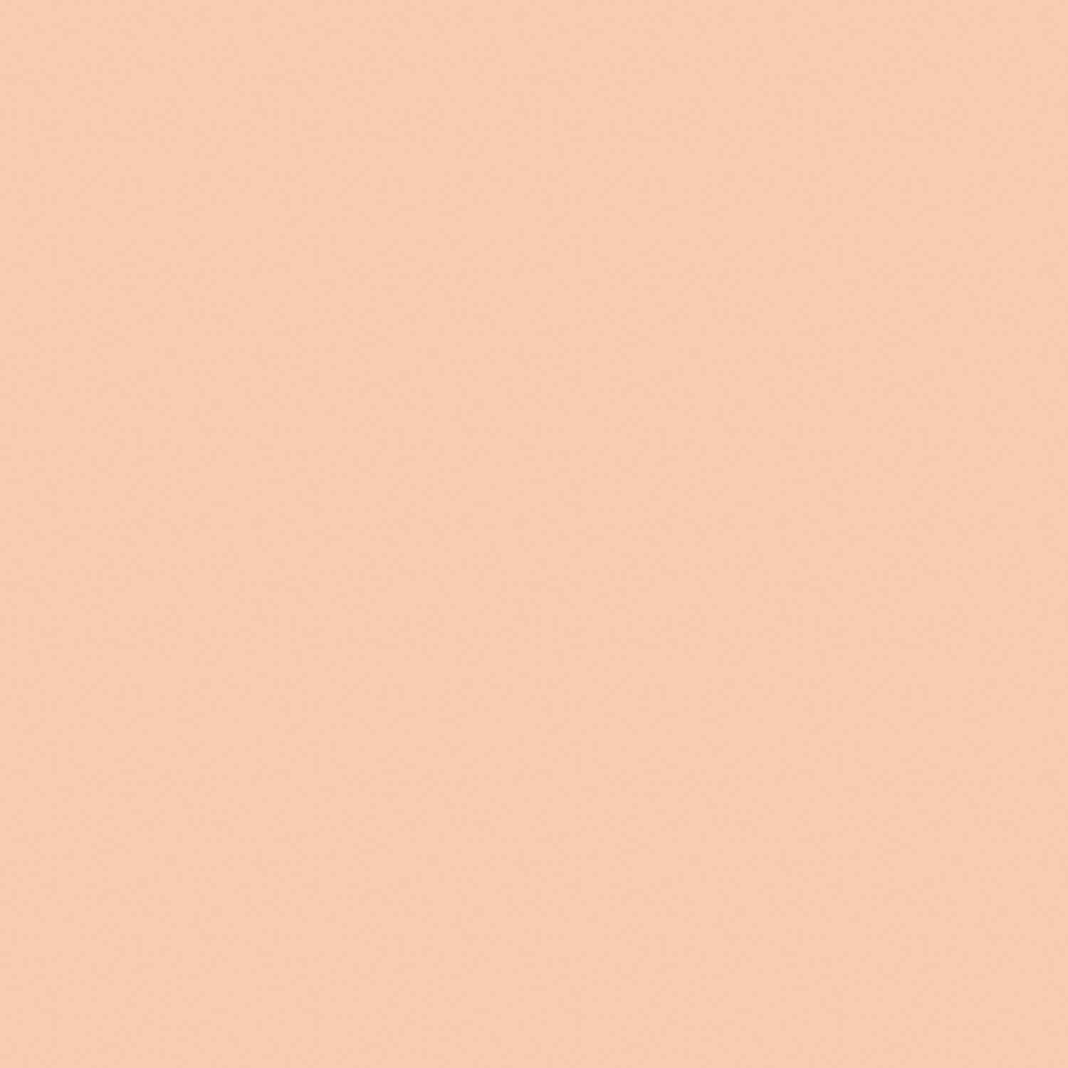 imageCOVERGIRL TruBlend Matte Made Liquid Foundation Cappuccino 1 Fl Oz Pack of 1PORCELAIN