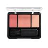 COVERGIRL Instant Cheekbones Contouring Blush Peach Perfection 210, .29 oz(PEACH PERFECTION)