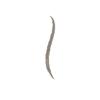 COVERGIRL Perfect Blend Eyeliner Pencil Smoky Taupe, 2 Count(SMOKY TAUPE)