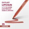 Covergirl Outlast, 45 Brazen Raisin, Lipstain, Smooth Application, Precise Pen-Like Tip, Transfer-Proof, Satin Stained Finish, Vegan Formula, 0.06oz(35 Canyon)