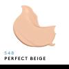 COVERGIRL Clean Matte Liquid Foundation, Deep Golden 570, Pack of 1(Perfect Beige 548)
