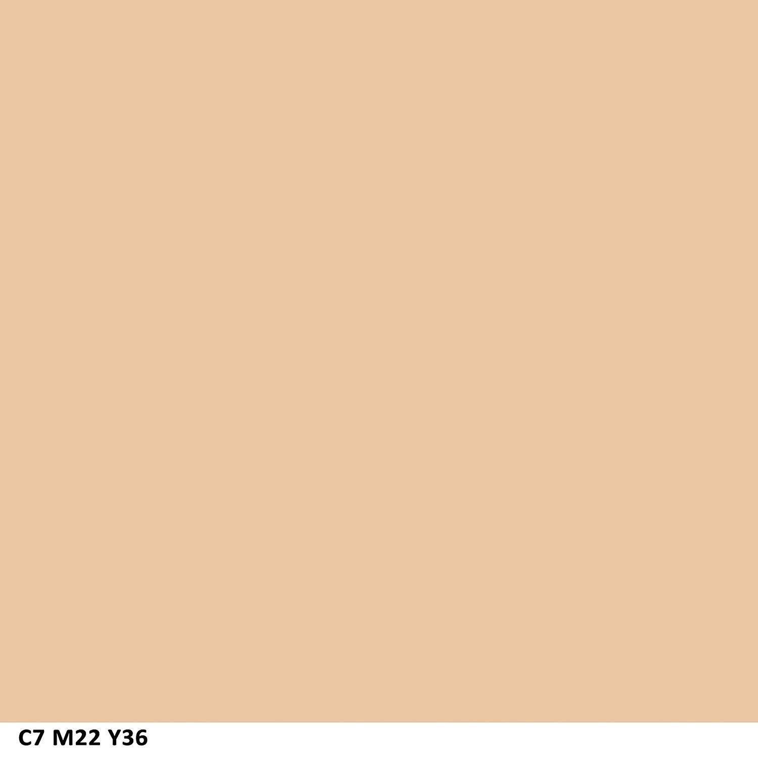 imageCOVERGIRL Clean Matte Concealer OilFree Lightweight Formula Blendable NaturalLooking Coverage 100 CrueltyFreeFAIR